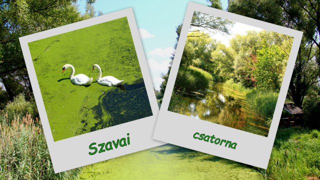 szavai csatorna